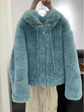 2025 Autumn And Winter Trend Korean Imitation Lamb Hair Hooded Short Coat Small Man Showing High Blue Hair Super Temperament