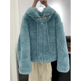 2025 Autumn And Winter Trend Korean Imitation Lamb Hair Hooded Short Coat Small Man Showing High Blue Hair Super Temperament